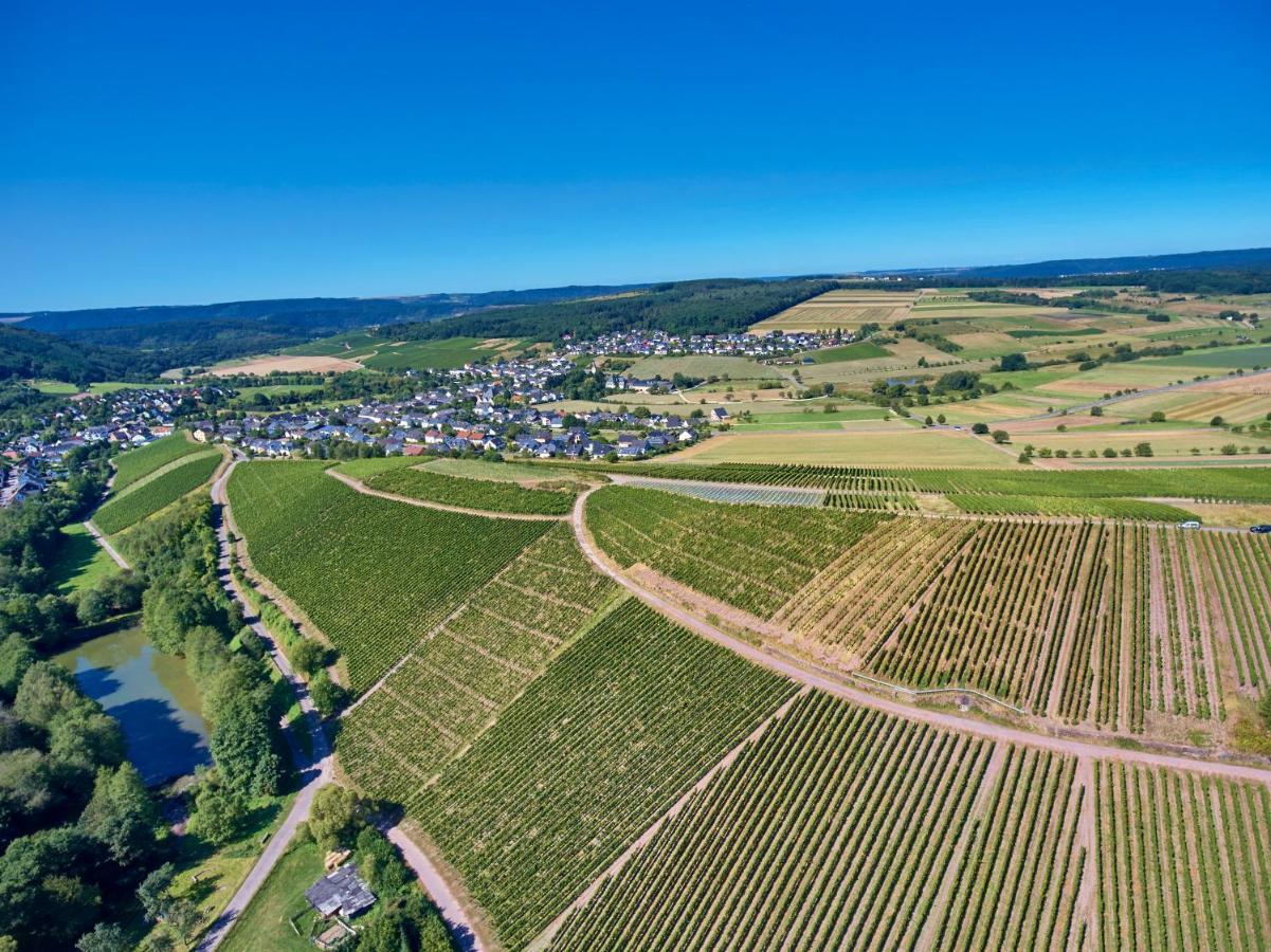Ferienweingut Willems Oberemmel Extérieur photo