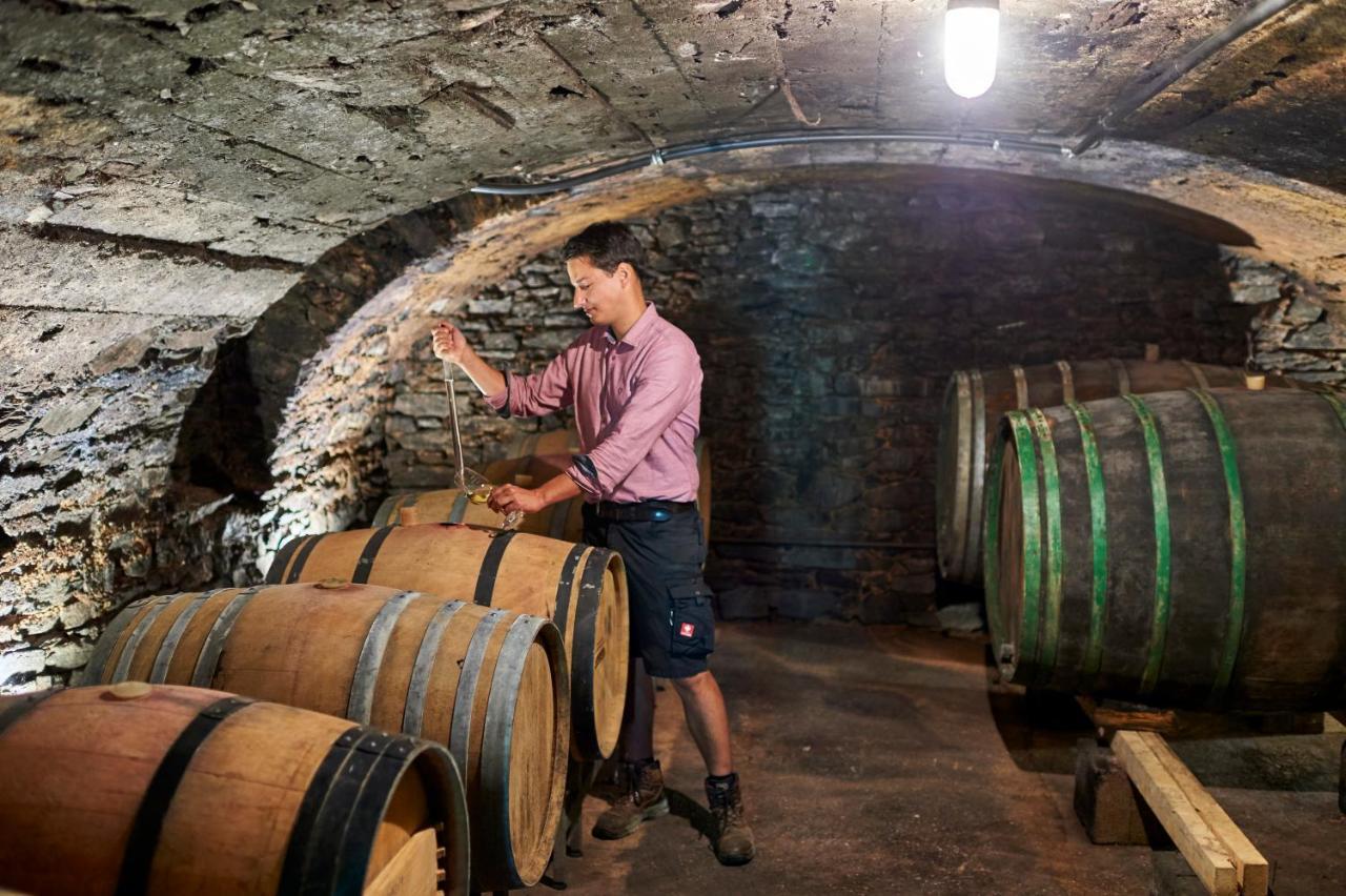 Ferienweingut Willems Oberemmel Extérieur photo