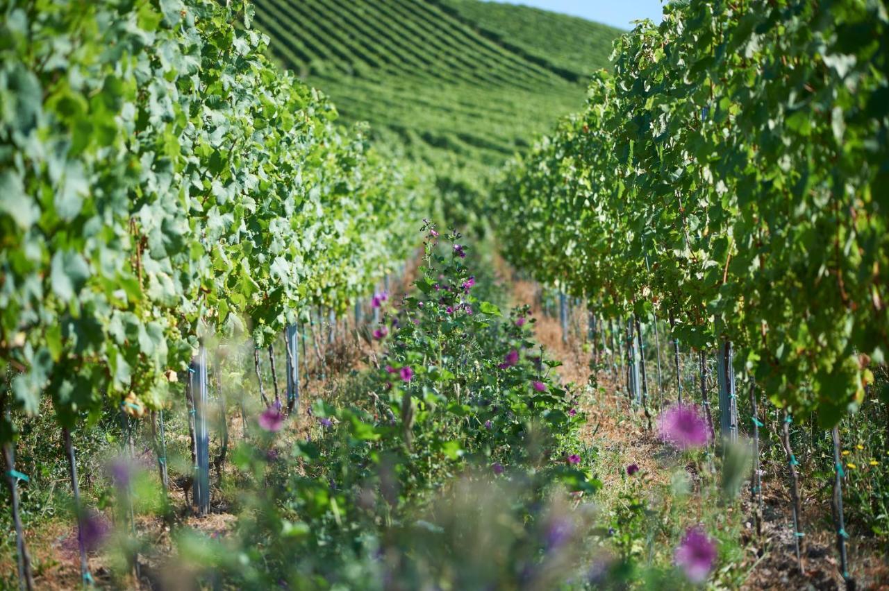 Ferienweingut Willems Oberemmel Extérieur photo